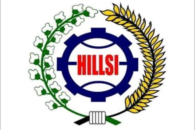 Logo HILLSI
