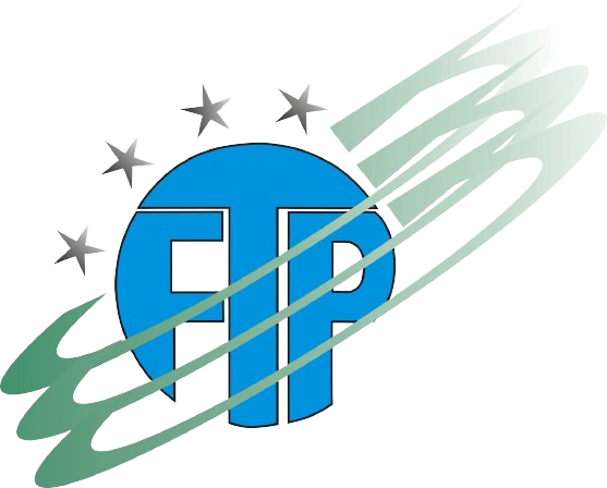 Logo Website